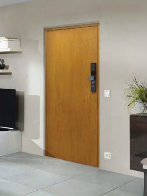 Premium Residential Door Premium Residential Door